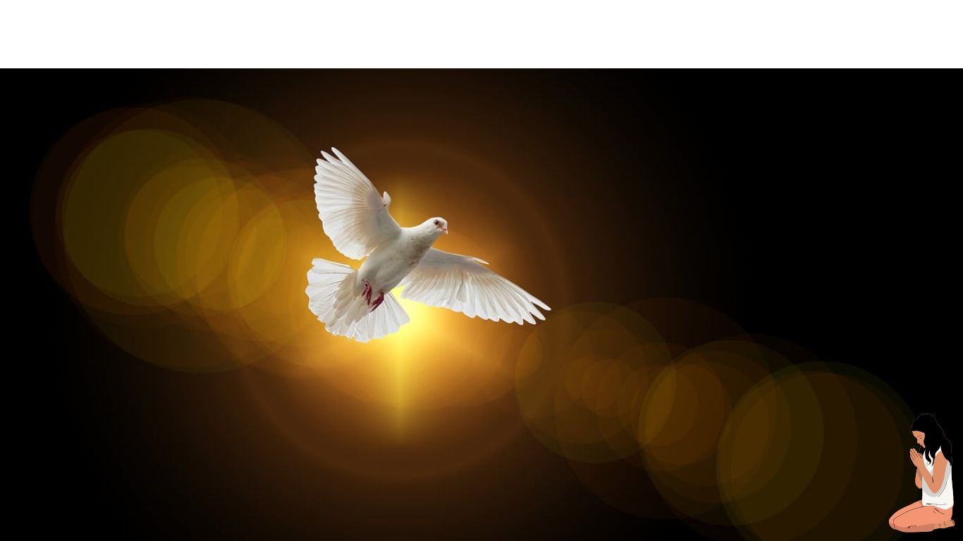 the holy spirit like a dove visits the faithful